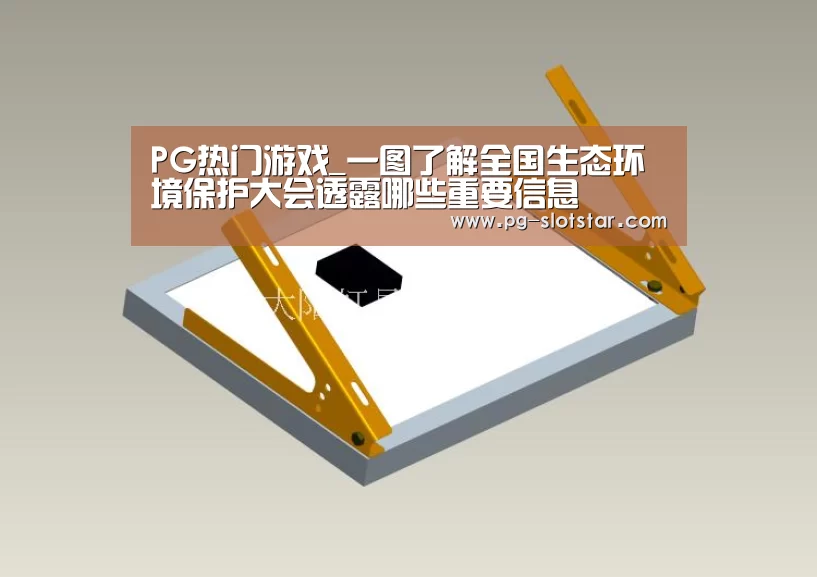 PG登录入口