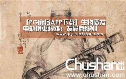 【PG麻将APP下载】生物质发电处境更艰难:发展参照别人,还有燃料成本……(图1) PG登录入口